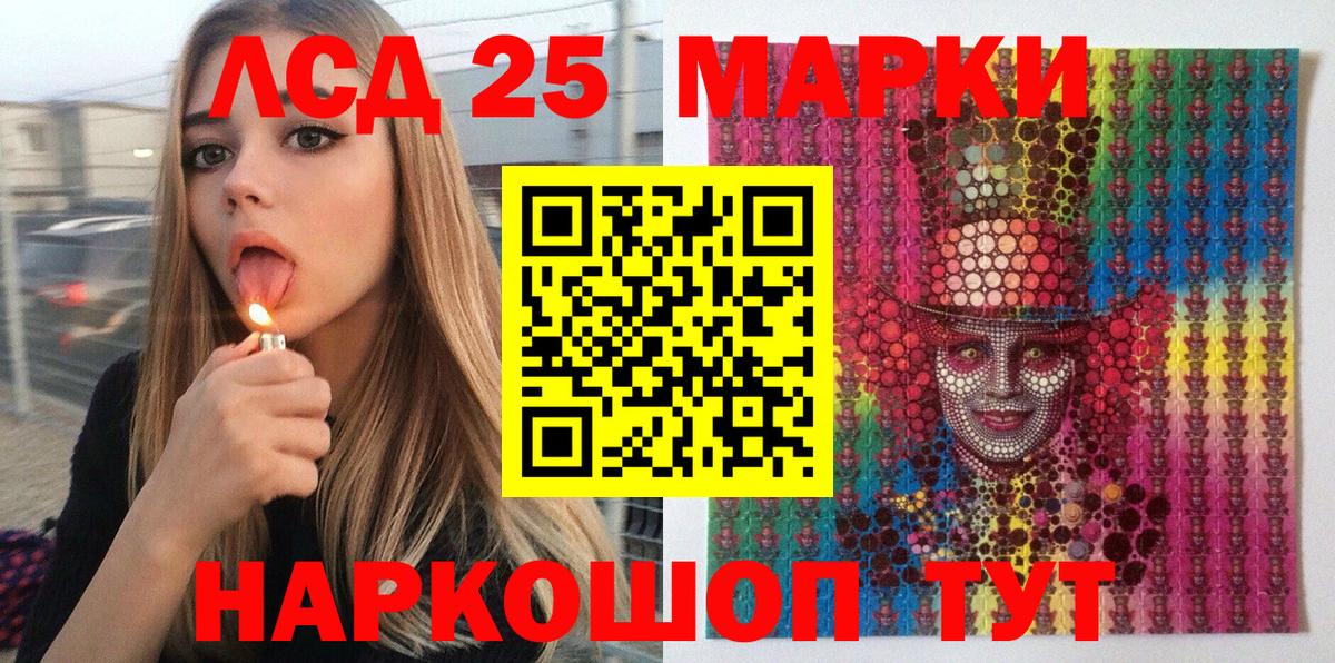 Благодарный  Наркотические марки 1,5мг  Наркотические марки  Наркотические марки 1,5мг  Вход с VPN 