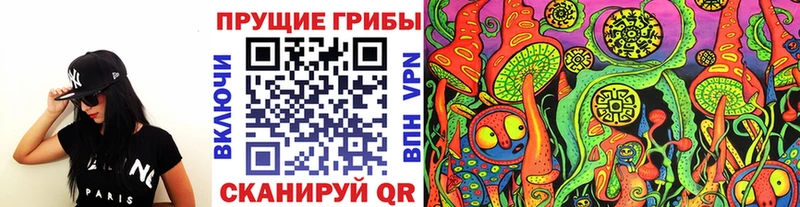 наркота  Благодарный  Псилоцибиновые грибы Psilocybine cubensis 