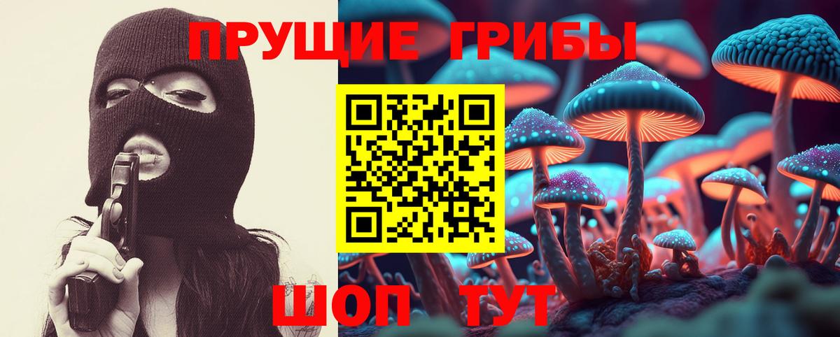 Благодарный  Галлюциногенные грибы MAGIC MUSHROOMS  Вход с VPN 